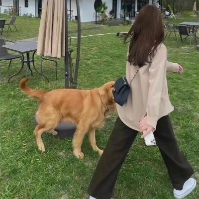 白狼勇士